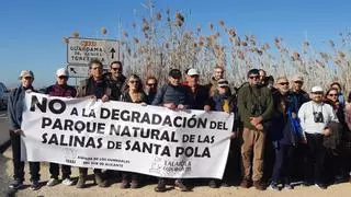 Ecologistas se plantan en las Salinas de Santa Pola contra "el maltrato al parque" y los atropellos de animales en la N-332