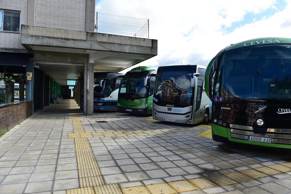 Autobuses en la estación de Plasencia, esta semana.
