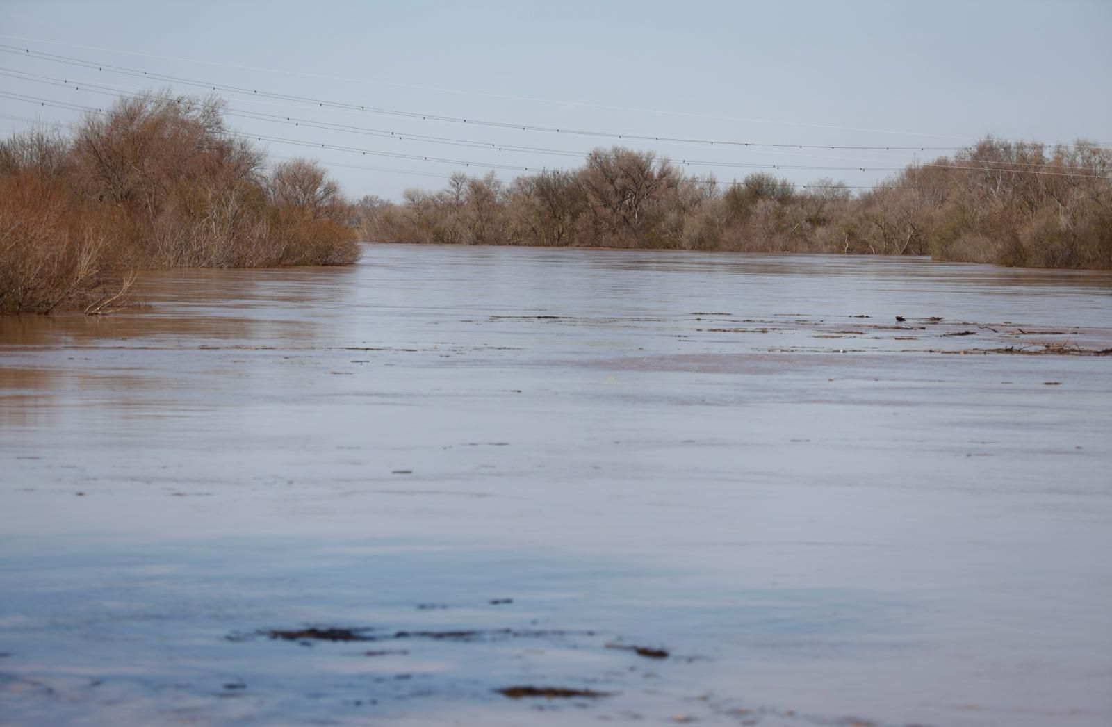 En imágenes | Así transcurre la crecida del Ebro a su paso por Aragón