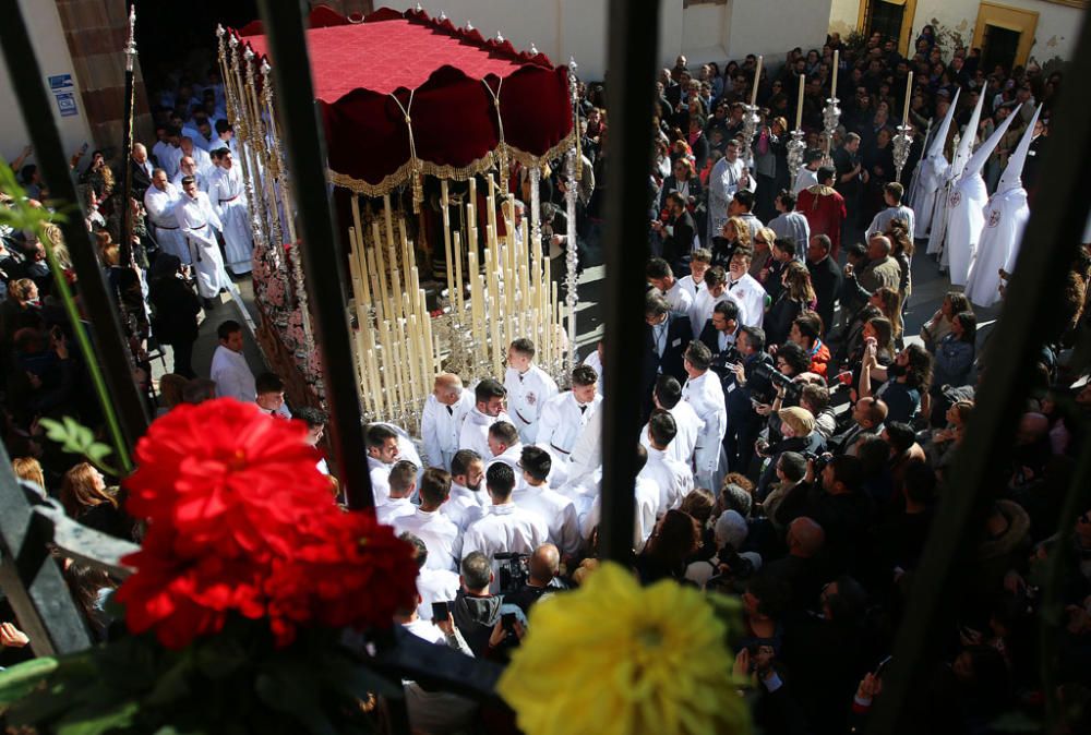 Domingo de Ramos | Salutación