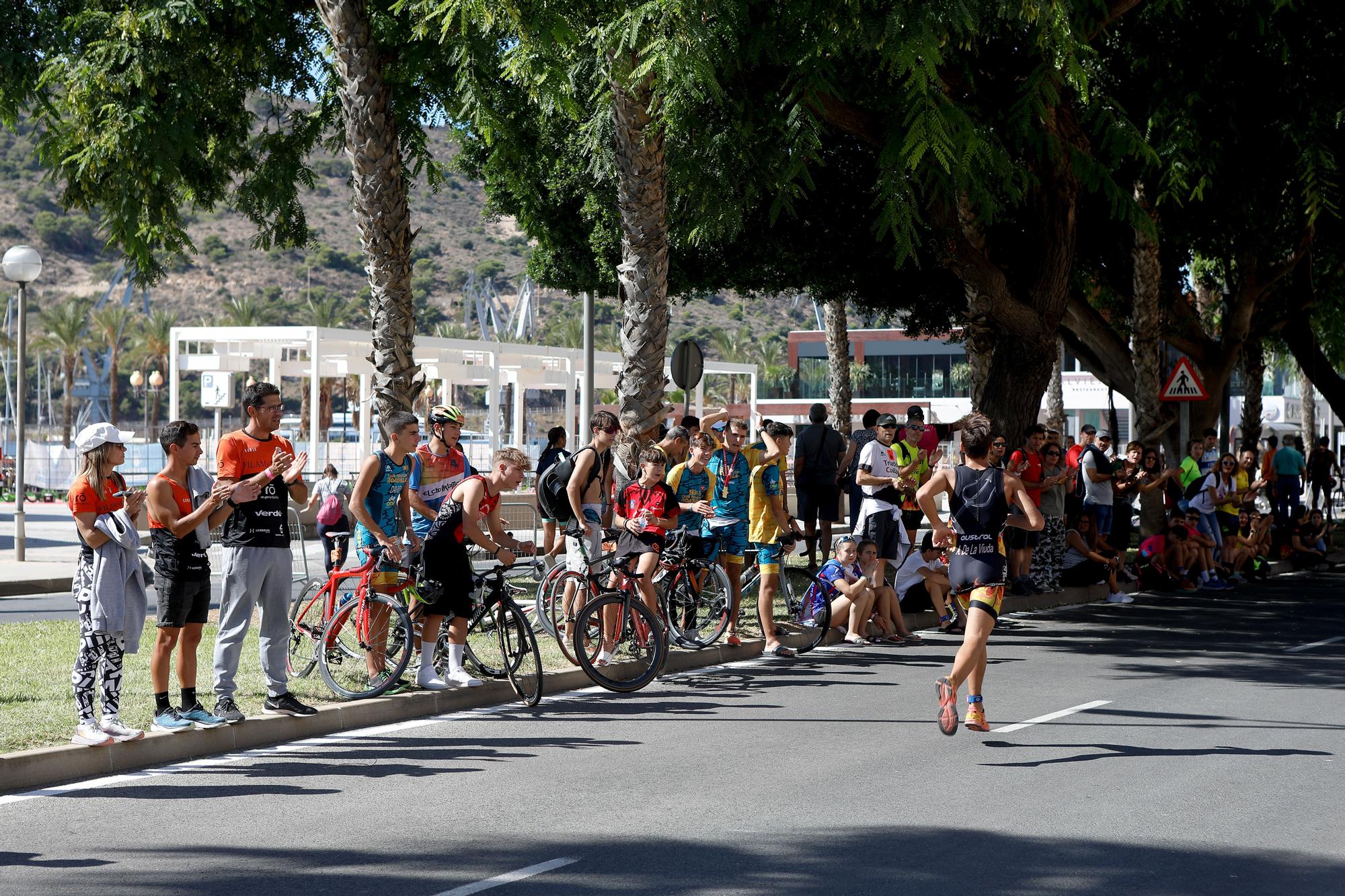 Campeonatos de España de Triatlón Sprint