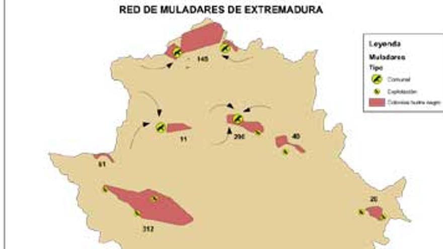 Extremadura crea once muladares para dar de comer a las aves carroñeras
