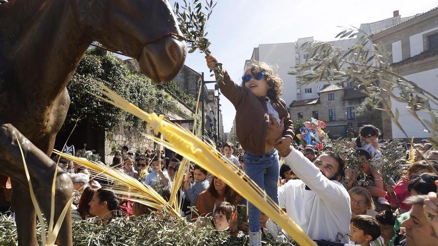 Multitudinaria bendición de Ramos en el atrio de San Francisco