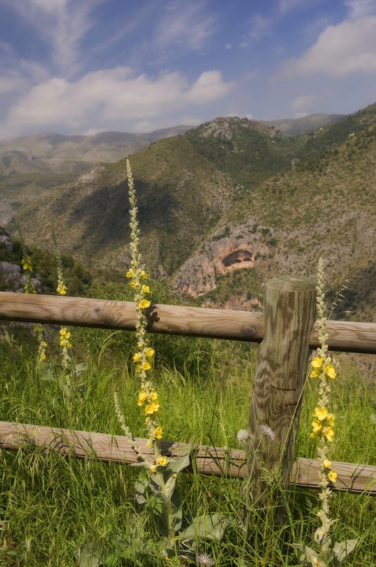 Paisaje en el Barranc de l'Infern.
