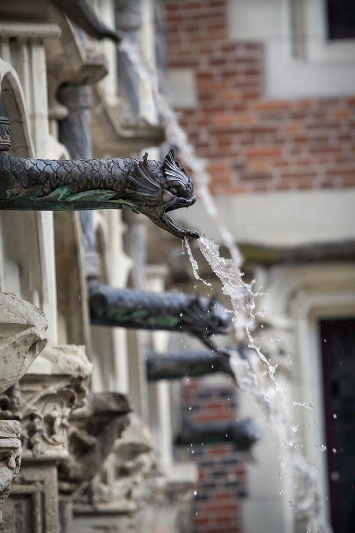 Gárgolas del castillo de Blois