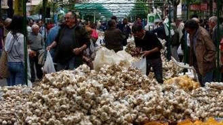 Compradores en la Feria del Ajo de la avenida Tres Cruces Foto L.O.Z.