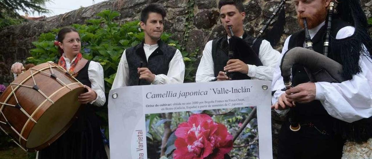 Un grupo de gaiteiros muestra la camelia dedicada a Valle-Inclán con motivo del 150 aniversario del nacimiento del escritor. // Noé Parga