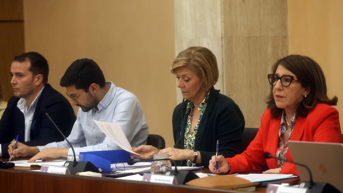 Ediles del PP de Vilagarcía durante un pleno.