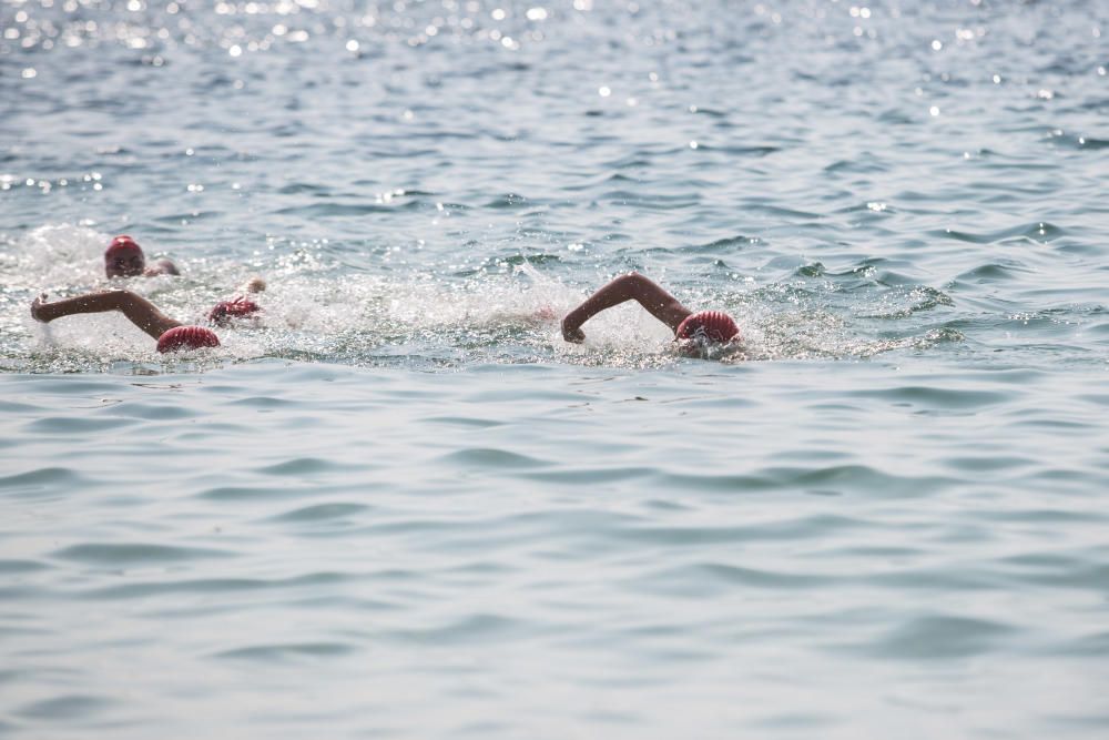 XXIX Travesía popular de natación