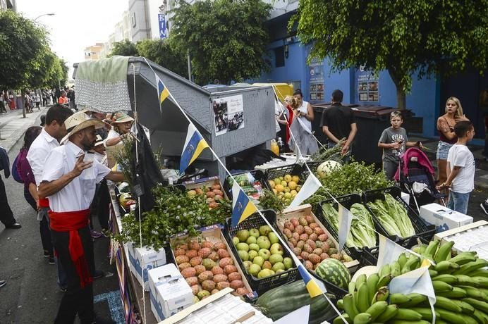 ROMERIA DE LOS DOLORES, SCHAMANN