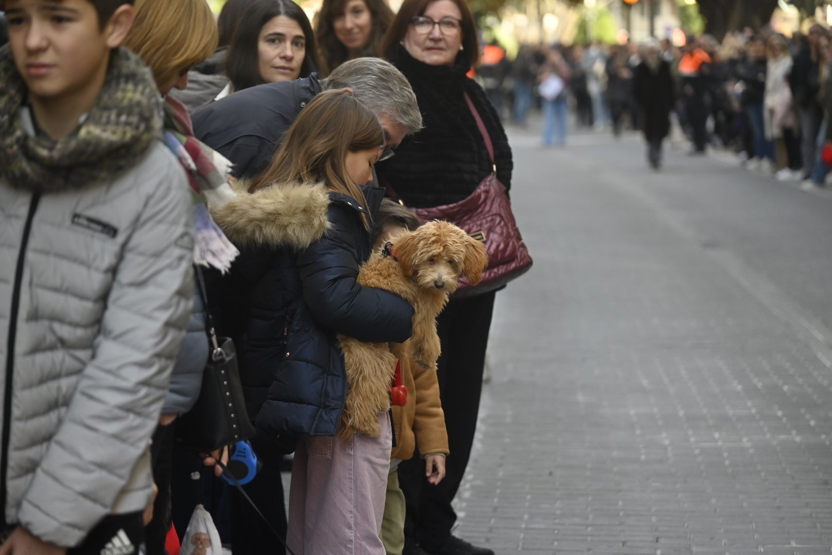 Roberto Bautista lidera la procesión por Sant Antoni en Castelló