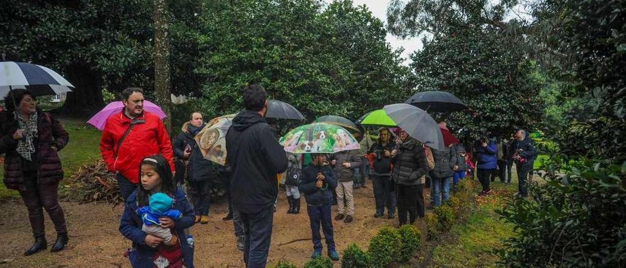 Una de las visitas a los camelios en flor del jardín de Rubiáns. // Iñaki Abella