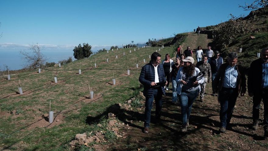 The Cabildo creates in Los Realejos the largest cold fruit conservation farm in the Canary Islands