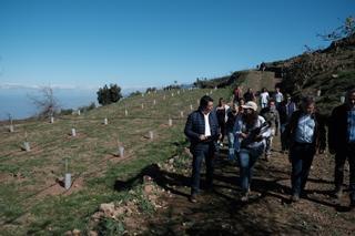 El Cabildo crea en Los Realejos la mayor finca de conservación de frutales de frío de Canarias