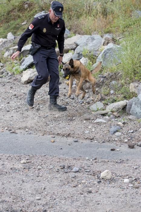 Reportaje a la Unidad Canina de la Policia ...