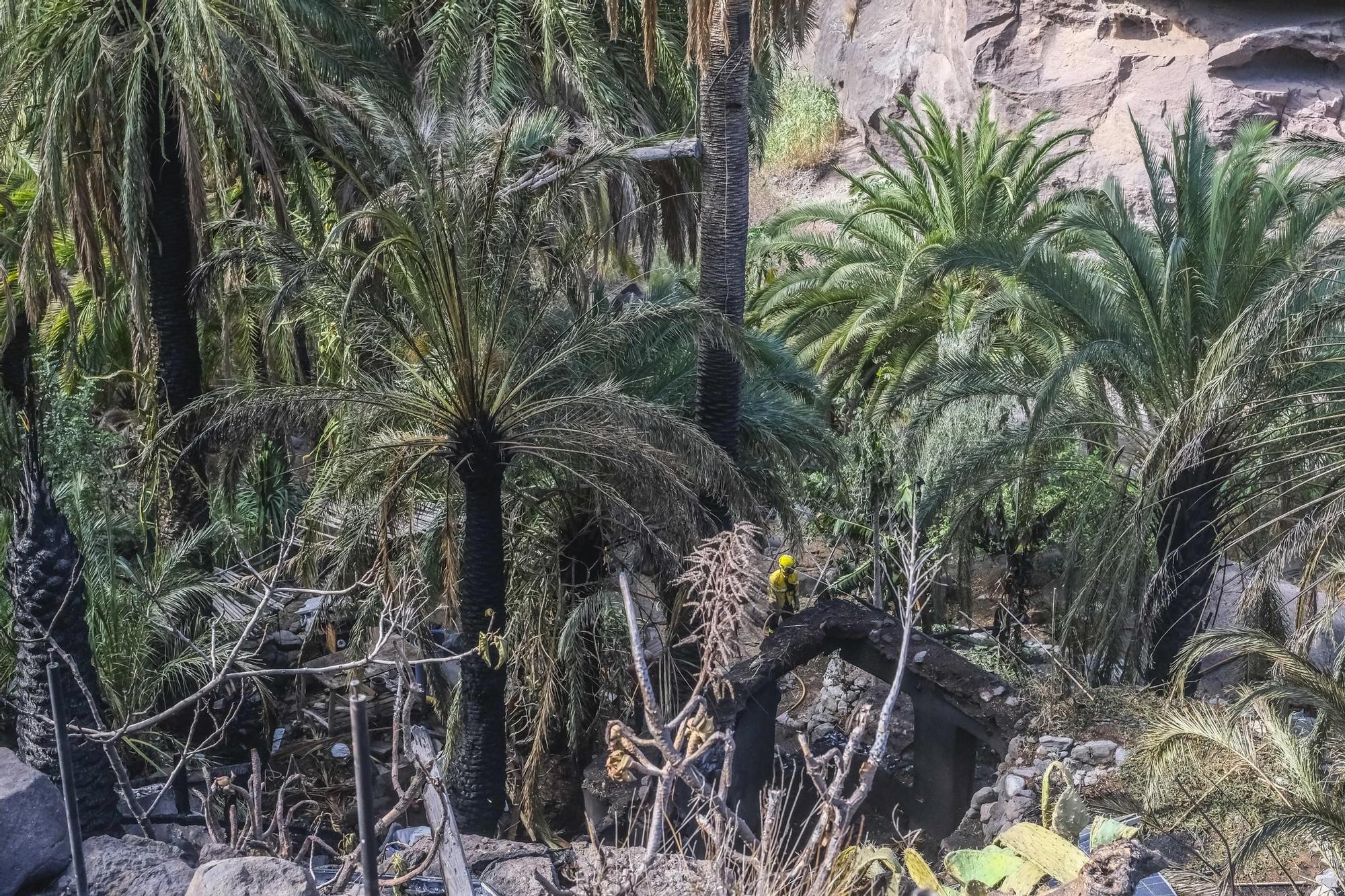 Incendio en Santa Lucía
