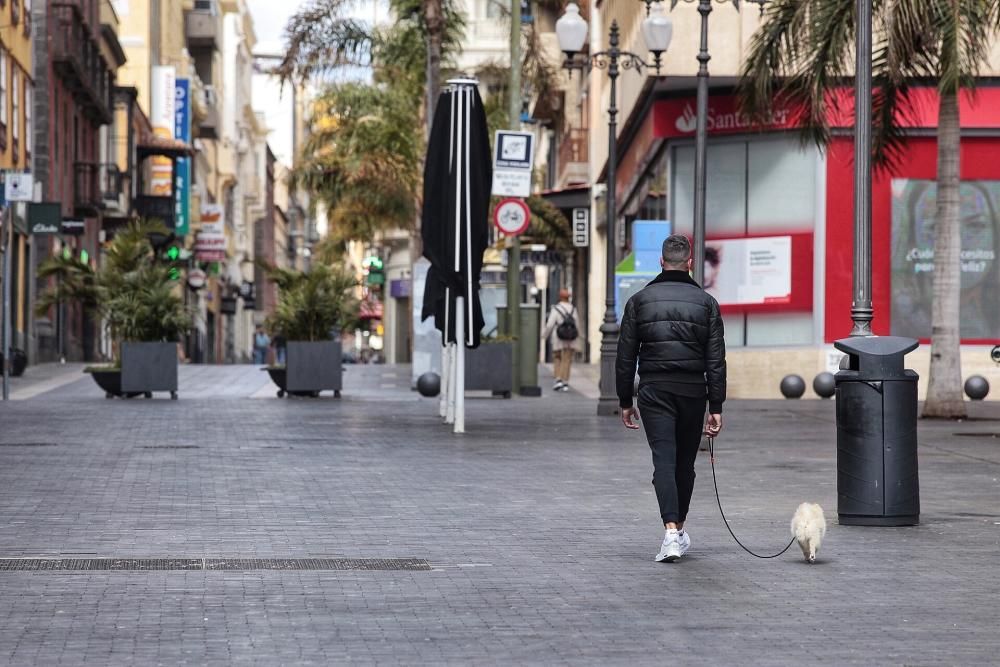 Reportaje: Gente con mascotas