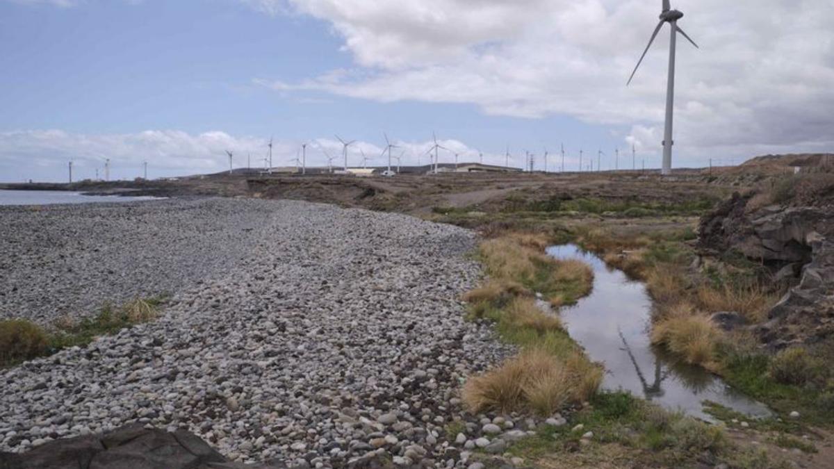 Un humedal pestilente acecha a la playa del Medio tras diez años en formación