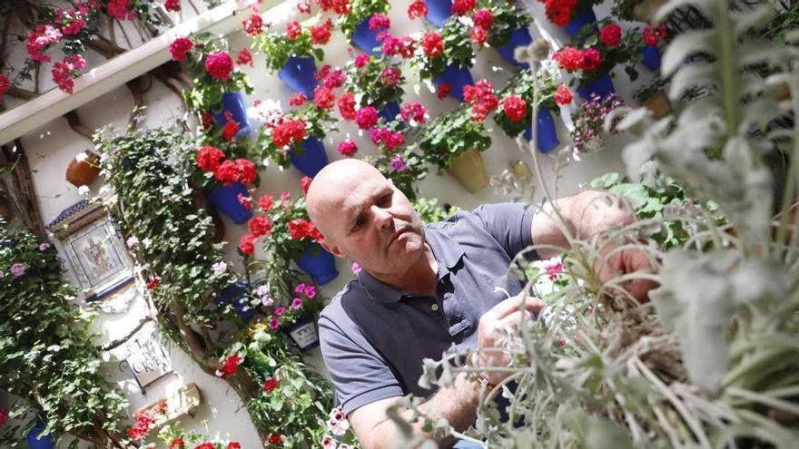 Estos son los patios ganadores de los primeros premios