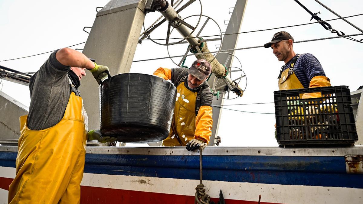 Varios marineros trabajan en un buque de arrastre en el puerto de Castelló.