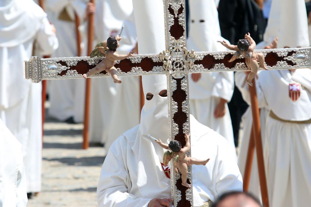 Domingo de Ramos | Humildad