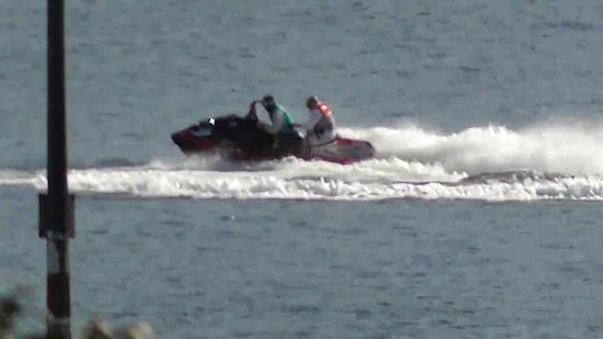 Graba el presunto intento de dos personas de arrollar a una pareja de delfines con una moto de agua en la ría de Vigo