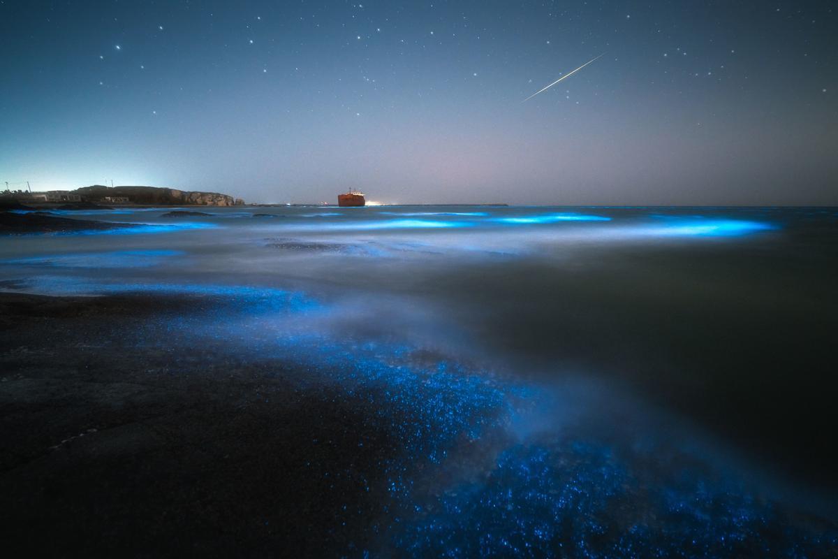 Las playas de Galicia donde puedes ver la mágica bioluminiscencia