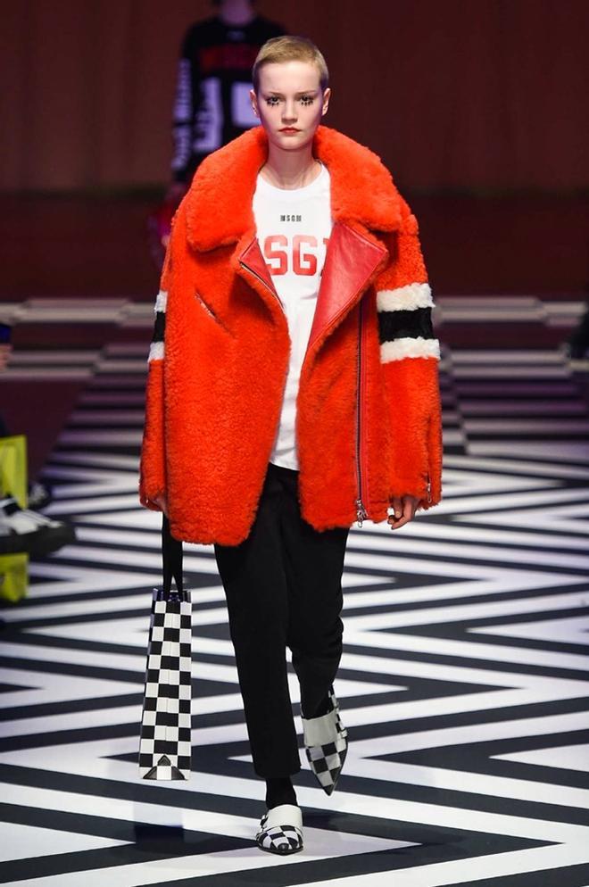 Msgm