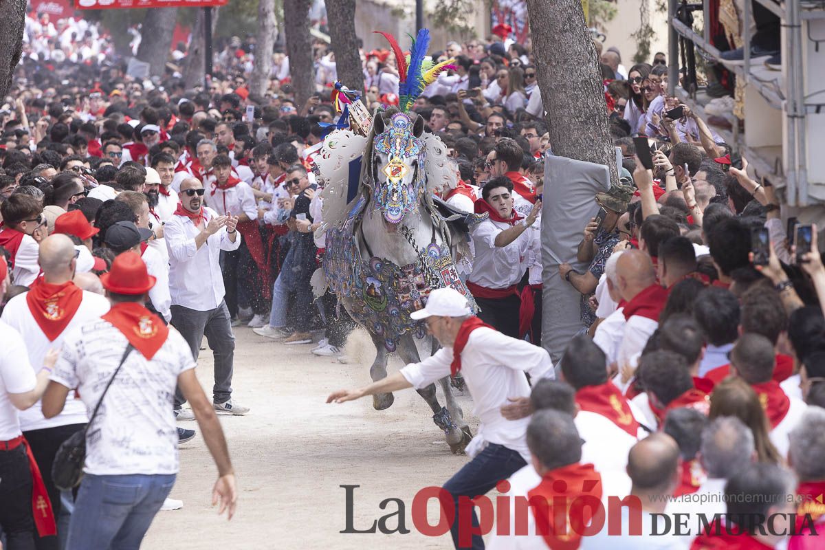 Así se ha vivido la carrera de Los Caballos del Vino en Caravaca