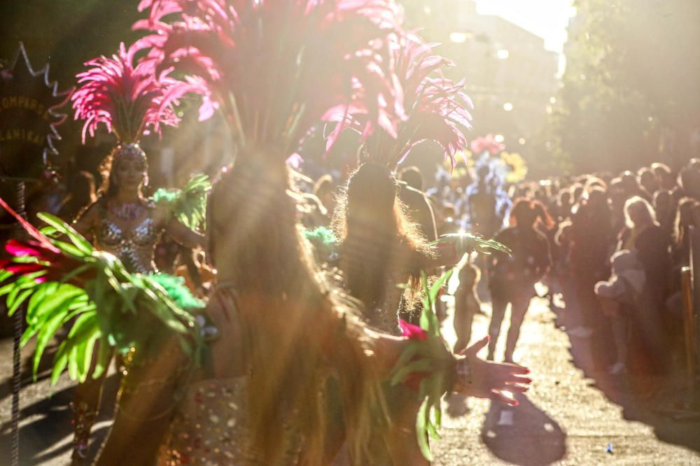 Desfile concurso del Carnaval de Torrevieja