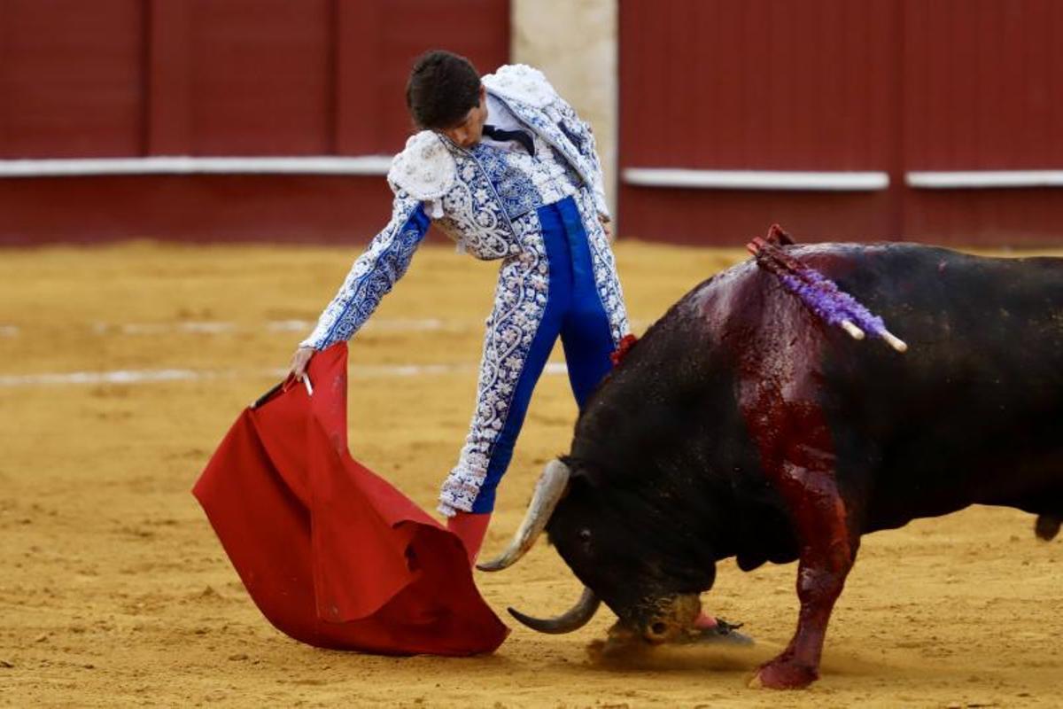 Sebastián Castella, en La Malagueta