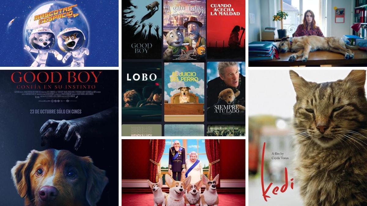 Algunos de los títulos que puedes encontrar en el rincón de animales de Filmin.