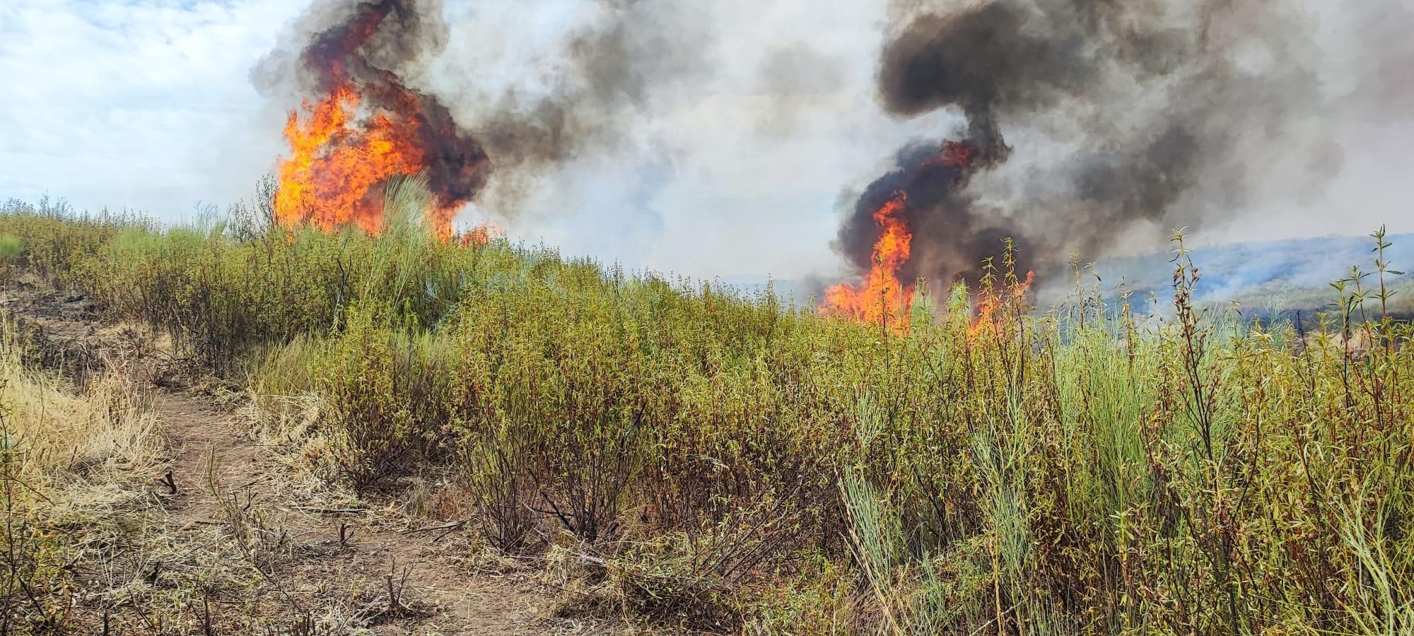 El incendio de Guijo de Galisteo, en imágenes