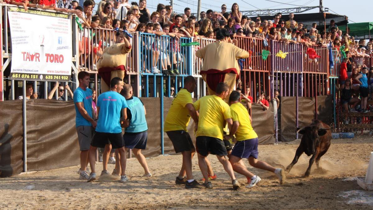 La variedad taurina no faltará este fin de semana en Castellón