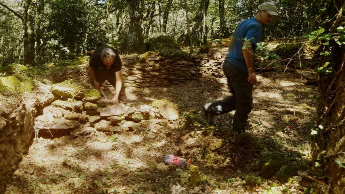 Los primeros pasos se centran en la limpieza de la zona. |  