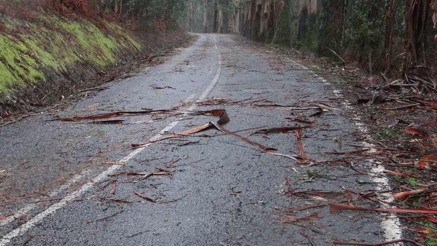 El BNG dice que cuando el viento arrecia es &quot;imposible&quot; la conducción por el vial de O Chedón.