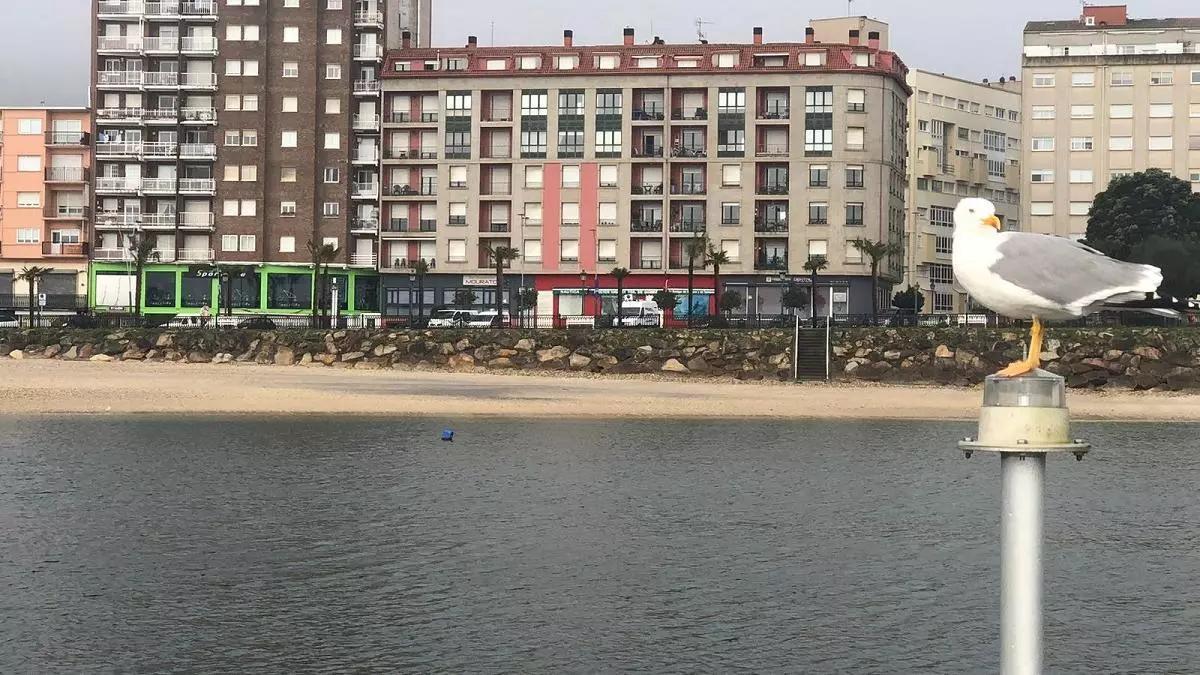 Alertan de un vertido de combustible en la playa de Coroso (Ribeira).