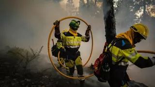 El Cabildo de La Palma activa su Plan Insular de Emergencias ante el riesgo máximo de incendios forestales