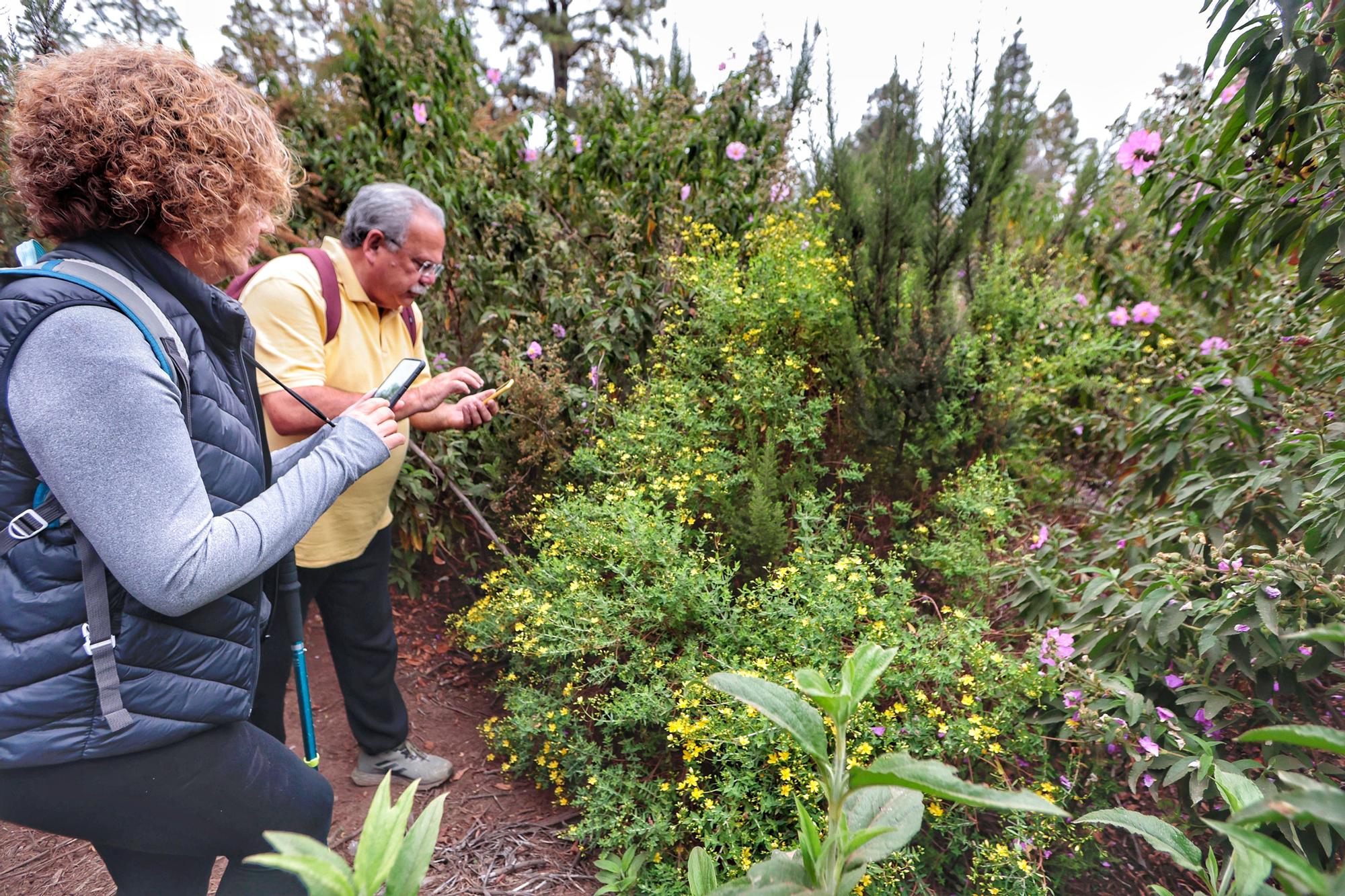 Tercera edición del Biomaratón de Flora Española, en el Parque Recreativo La Caldera, La Orotava