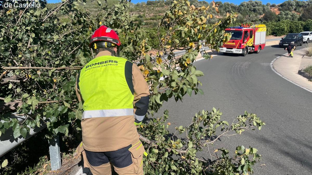 Bomberos retiran un árbol caído en mitad de una carretera.