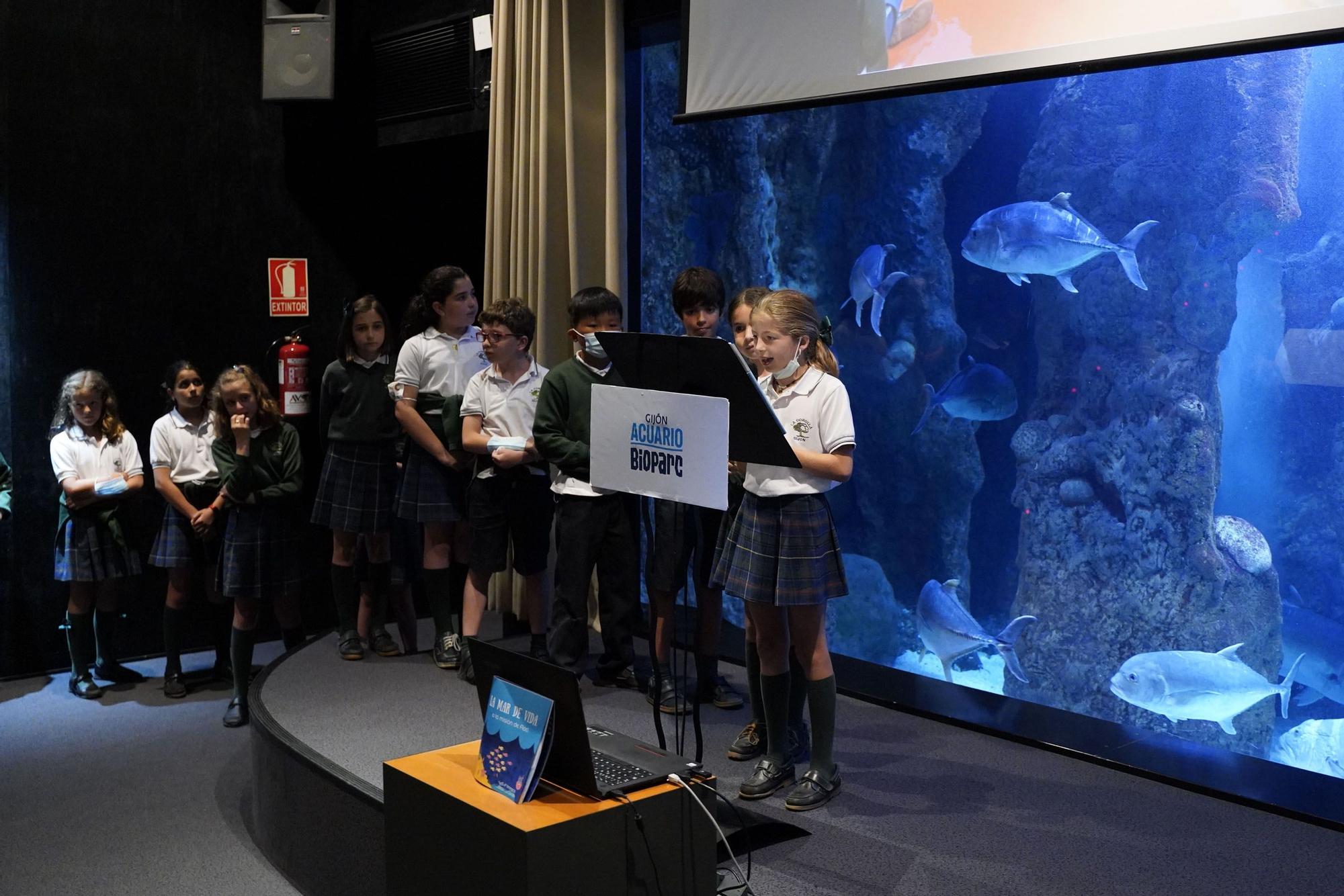 El proyecto "La mar de vida" del colegio La Corolla llega al Acuario.