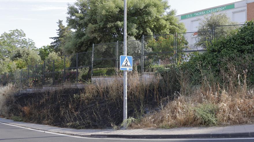 Los bomberos de Cáceres sofocan un incendio de pastos junto al instituto Norba