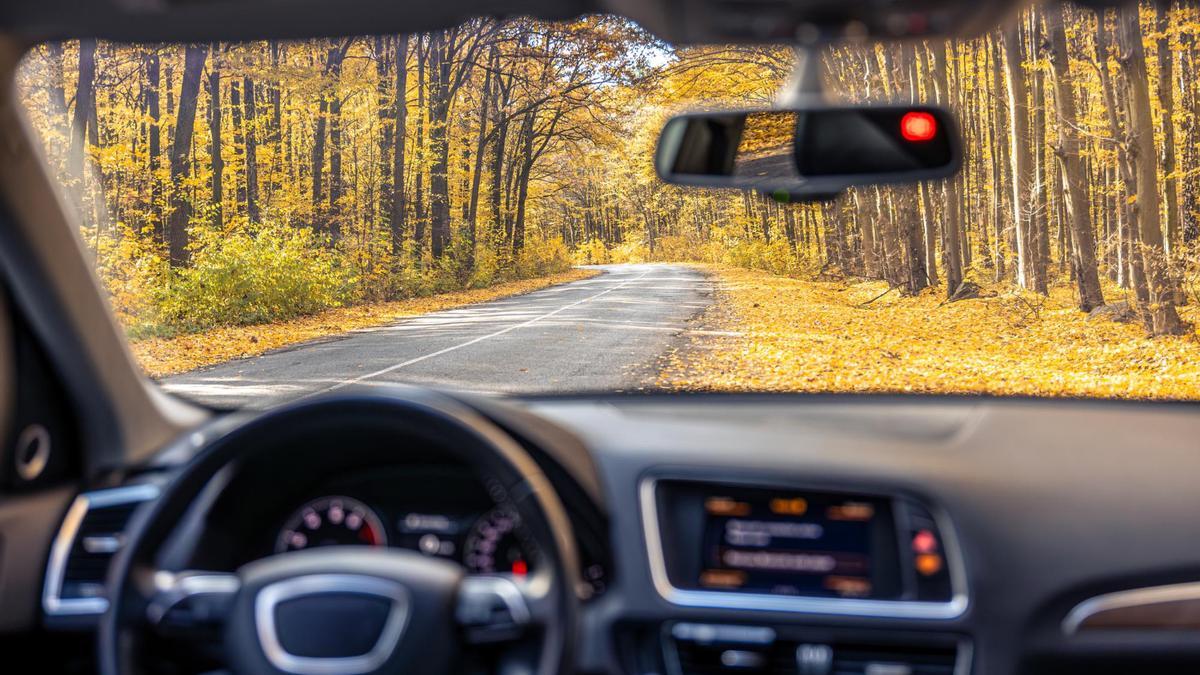 Ojo conductores, la Guardia Civil revisará todas las guanteras de las coches y te podría retirar el carné de conducir si te encuentran este objeto