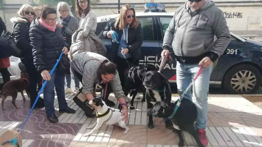Cien animalistas protestan por el asalto a sa Coma