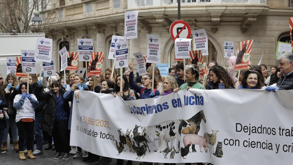 VÍDEO | Así ha sido la manifestación de los veterinarios de Baleares ante el nuevo decreto