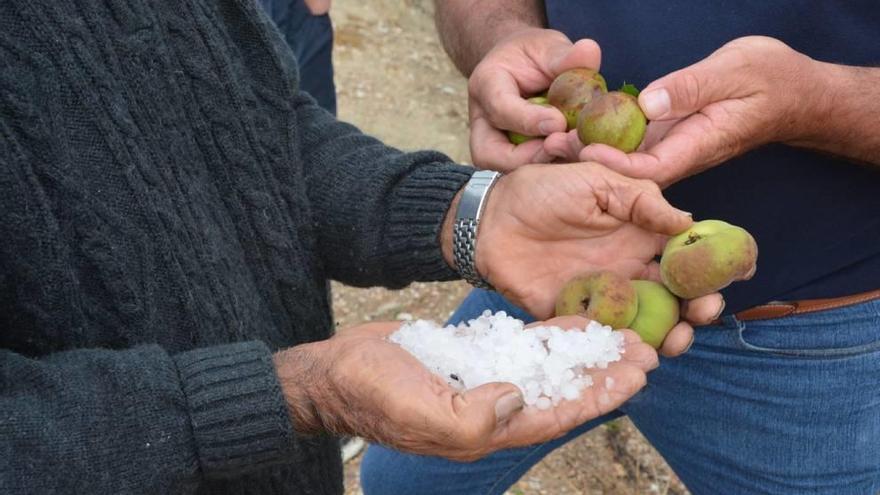 Fuerte granizada con pérdidas en el campo de Cieza, Blanca y Jumilla