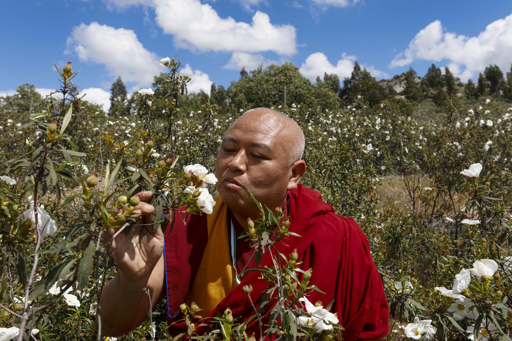Un monje budista en el cerro Arropez, en una imagen de archivo.