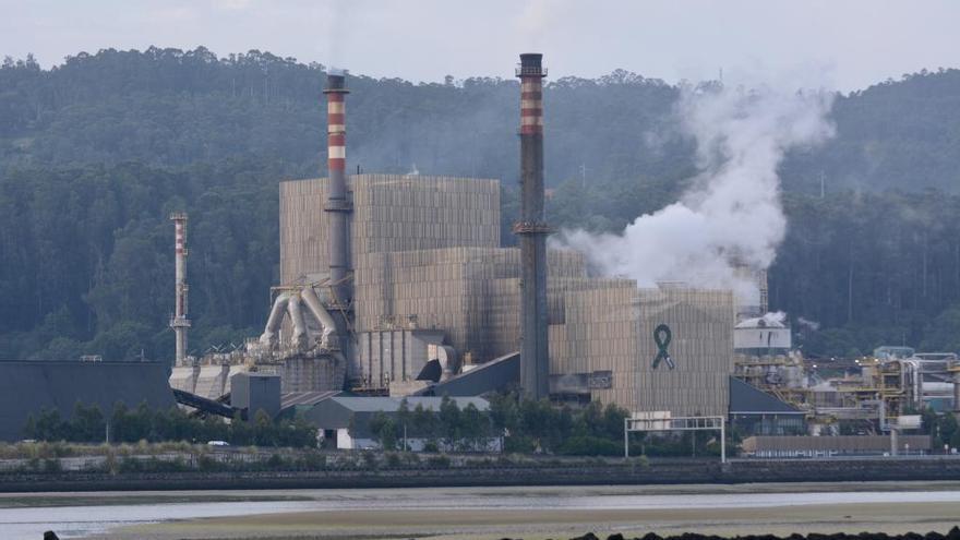 Fábrica de Ence en Pontevedra.