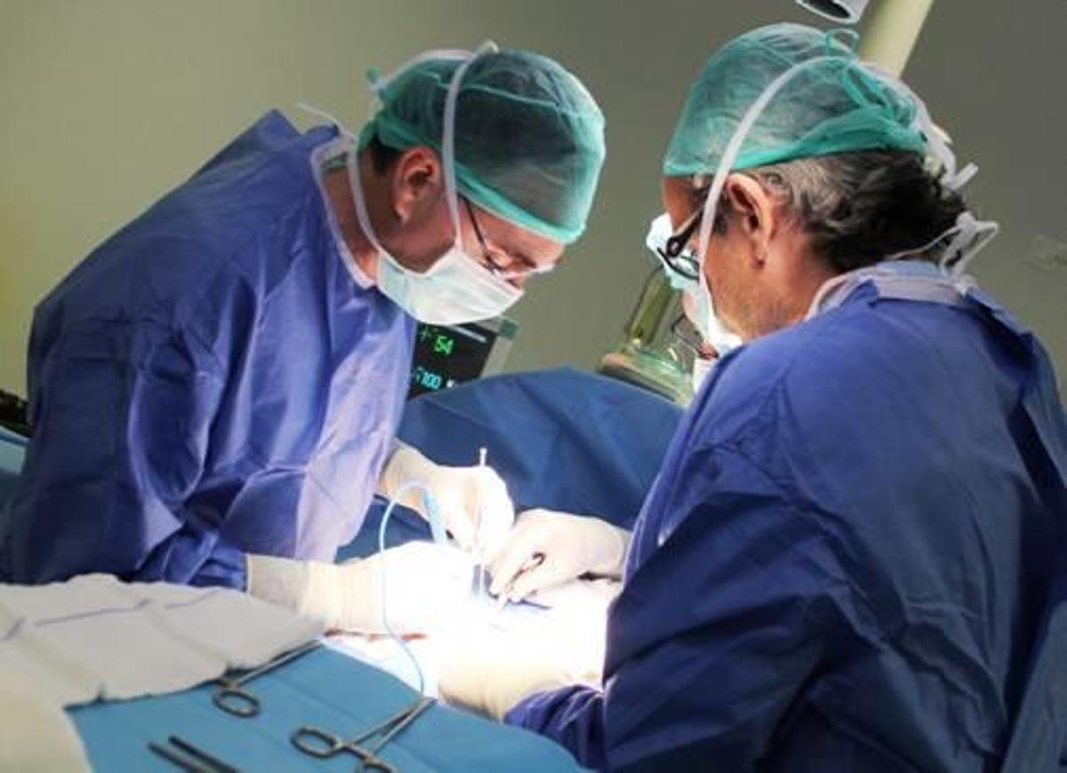 Los médicos estarán exentos de acreditar el valenciano.