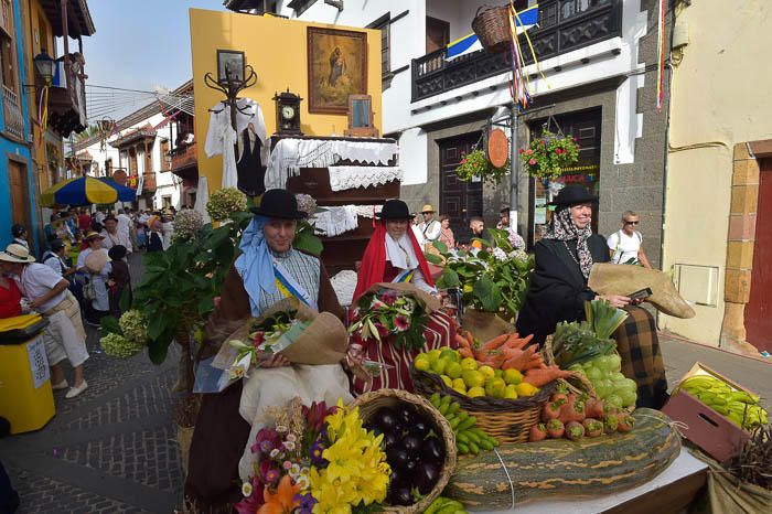 Carretas y grupos en la romería del Pino